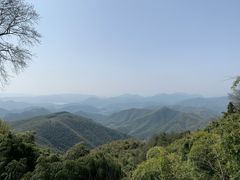 -莫干山风景区