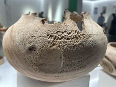 -国家会展中心