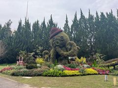 -东平国家森林公园
