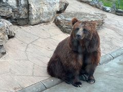 -北京野生动物园