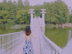 -东湖落雁景区