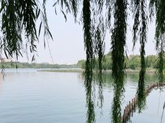 -济南大明湖景区