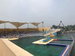 -秦皇岛乐岛海洋王国