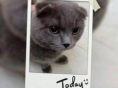 -美联众合动物医院·24h京西诊疗中心