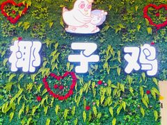 -南国锋味椰子鸡(瀚海店)