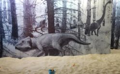 -恐龙探索乐园(磁器口店)