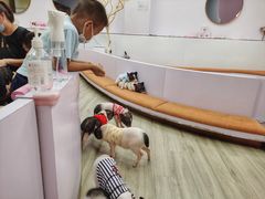 -猪盟咖啡店(玖洲道店)