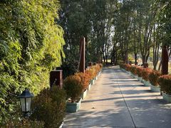 -银涛高尔夫练习场(徐泾店)