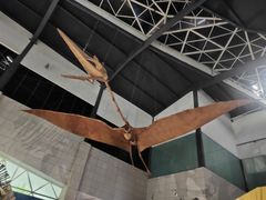 -湖南省地质博物馆