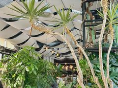 -北马山庄植趣咖啡