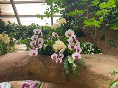 -石家庄市植物园