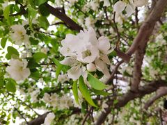 -元大都城垣遗址公园