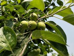 -祥源·阜阳生态乐园