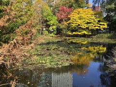 -北海道厅旧本厅舍(旧本庁舎)