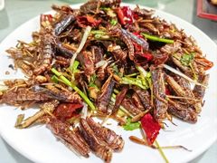 炸蚂蚱-闻道食府烙饼卷带鱼(原车耳营店原大觉寺店)