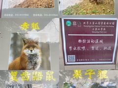 -北京上方山国家森林公园