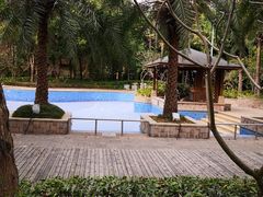 泳池-深圳观澜格兰云天国际酒店