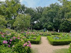 -上海共青森林公园