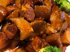-陈麻婆豆腐总店