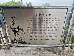-大金鹰园