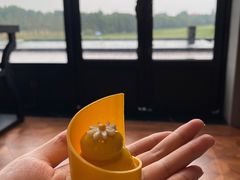 -苏宁钟山国际高尔夫酒店大堂酒廊