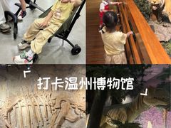-温州博物馆