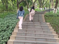-龙头寺公园