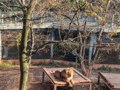 -昆明动物园
