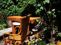 -斯多格书乡(北京大学畅春园店)