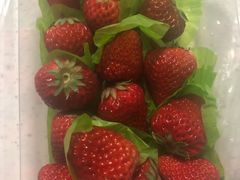 -百果园PAGODA(玄武成贤街店)