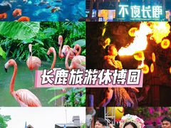 -长鹿旅游休博园