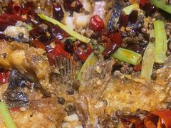 -老板恋上鱼(恒隆广场店)