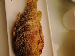 爆煎鲫鱼-三义和酒楼(千佛山店)