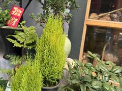 -溪岸路花鸟市场