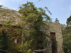 -龙山酒店温泉