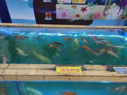 -美+纷儿童乐园(映月湖环宇城店)