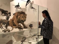 -墨尔本博物馆(Melbourne Museum)