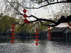 -百脉泉景区