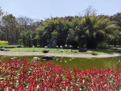 -自然谷恐龙园