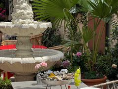 -Osteria Garden 生蚝花园餐厅(原进贤路店)