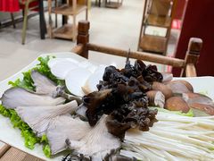 -芦月轩羊蝎子(北蜂窝店)