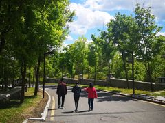 -长白山万达喜来登度假酒店