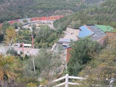 -五龙城郊森林公园