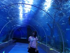 -多彩贵州城极地海洋世界