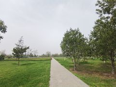 -汉长安城未央宫国家考古遗址公园