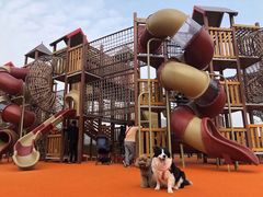 -枫香湖儿童公园