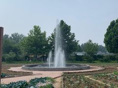 -意大利农场度假村