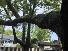 -颐和路民国时期公馆风貌区