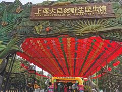 -上海大自然野生昆虫馆(东方明珠·爬宠昆虫探索中心)