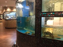 水产区-上海会馆(香港名都店)